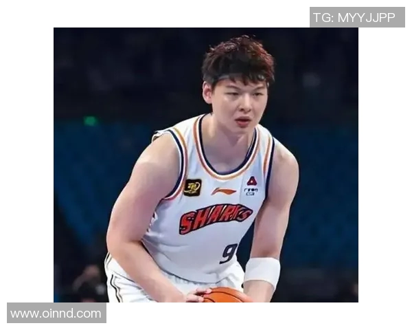 王哲林展现出色投篮技巧投篮命中率高达58引发球迷热议